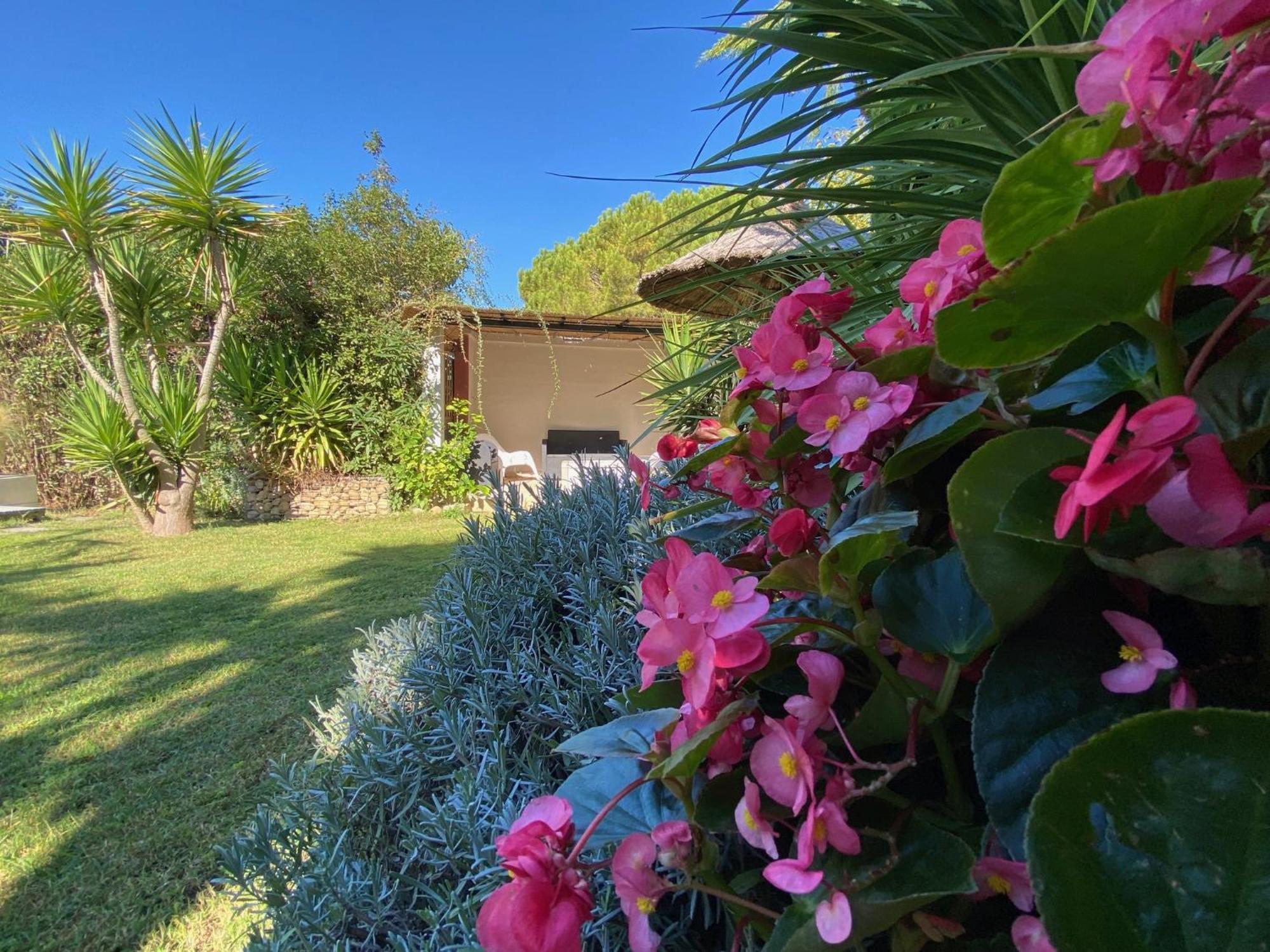 Lemodernlounge, Hebergement Cosy Moderne Spacieux Balaruc-les-Bains Bagian luar foto