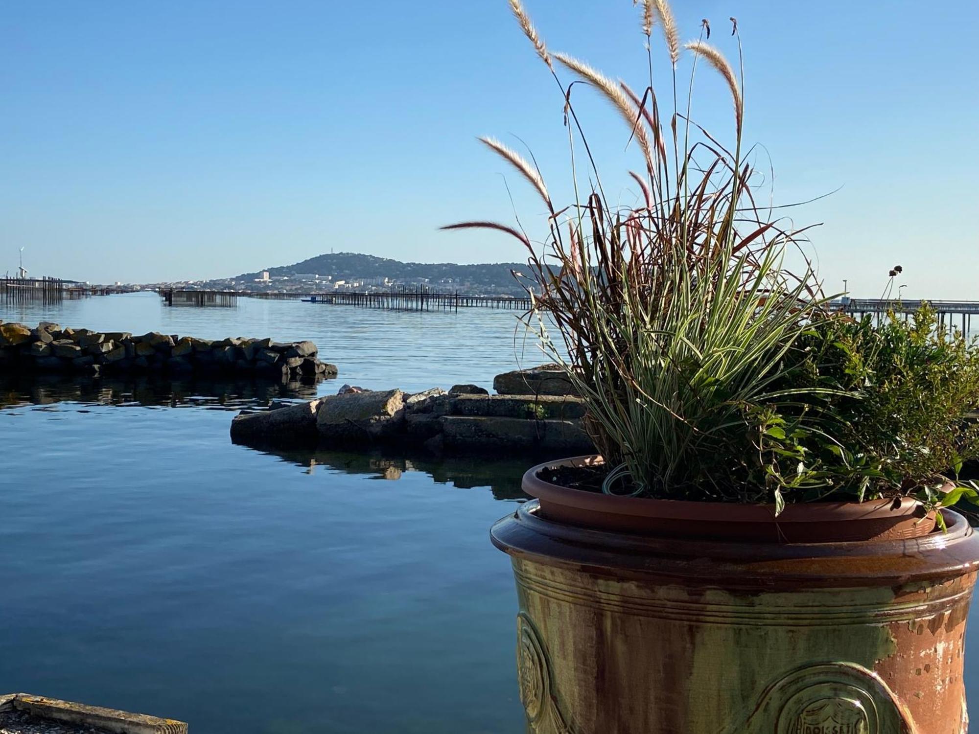 Lemodernlounge, Hebergement Cosy Moderne Spacieux Balaruc-les-Bains Bagian luar foto